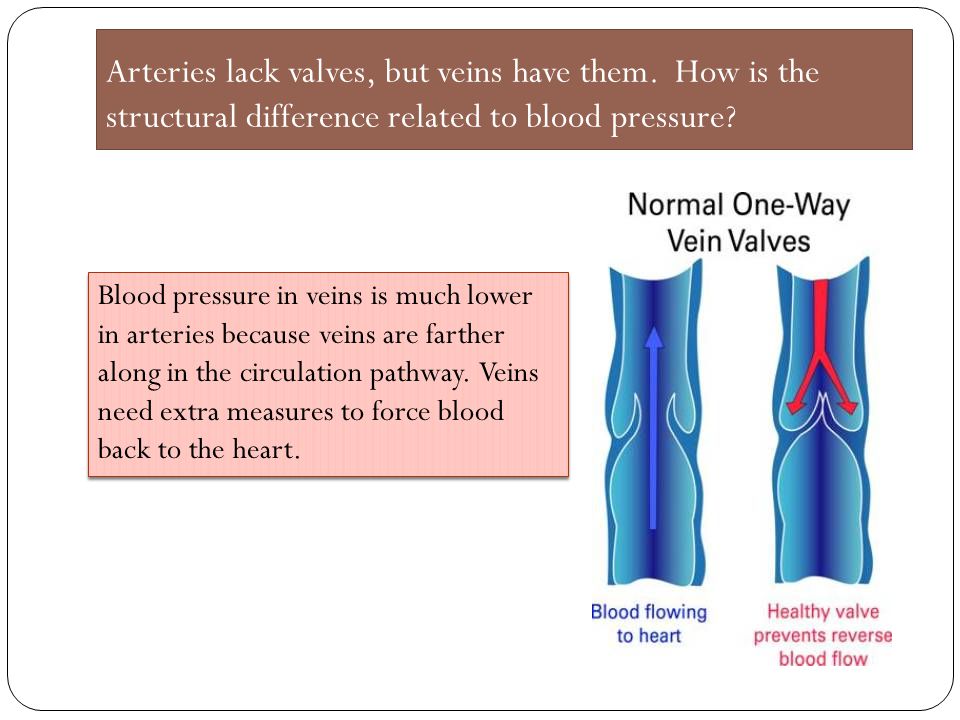 why is blood pressure low in veins